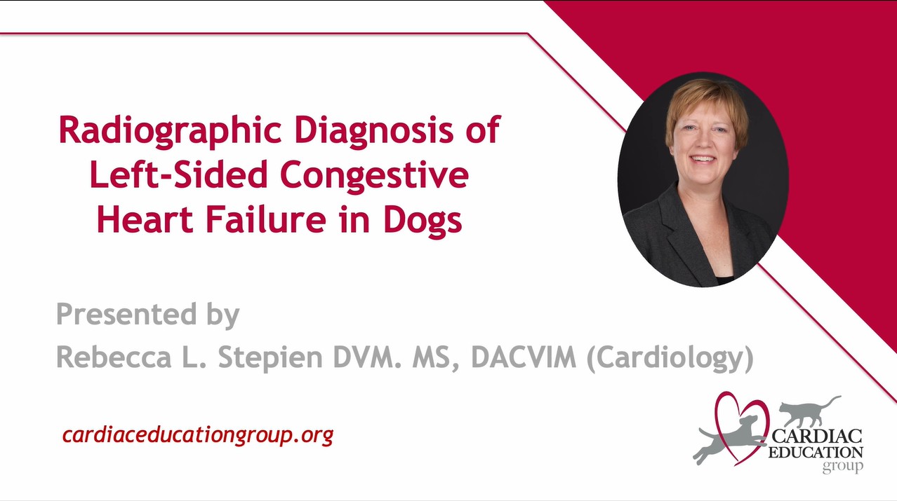 Video Title Cover with host image