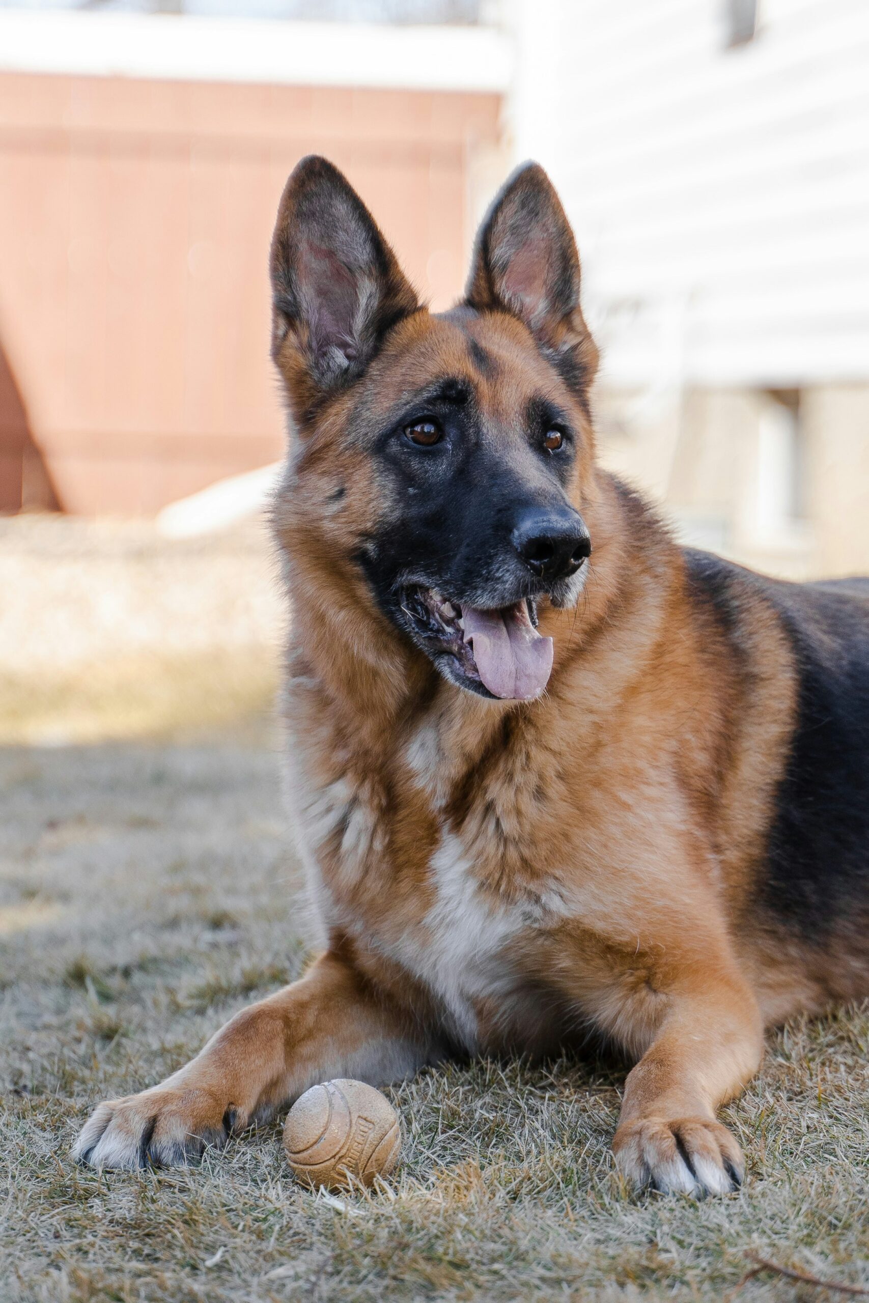 Max Photo