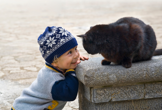 Charming little boy playing with black cat
