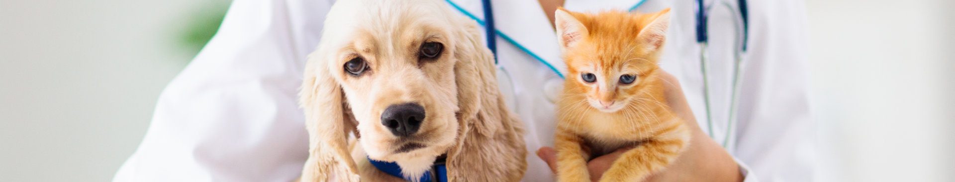 Diagnosis and treatment hero