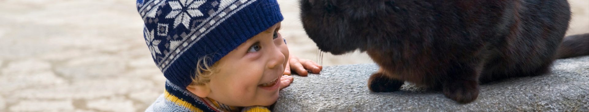 Charming,Little,Boy,Playing,With,Black,Cat